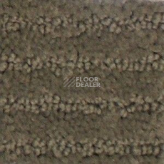 Ковролин Radici Painstripe Gardamomo 1305 фото 1 | FLOORDEALER